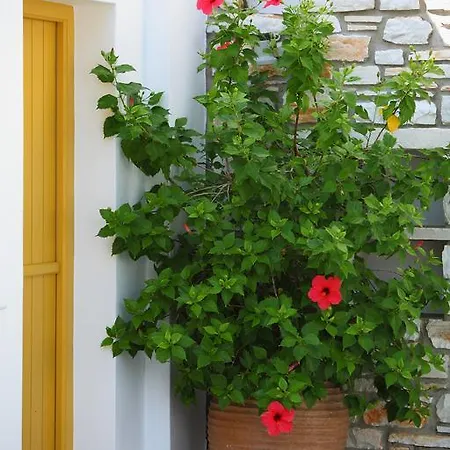 Aparthotel Ostria Naoussa