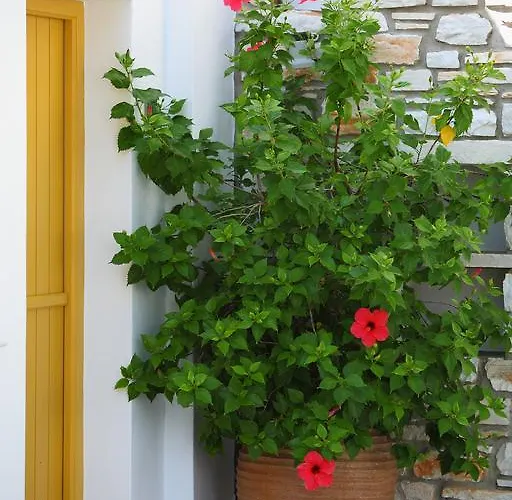 Aparthotel Ostria Naousa (Paros)