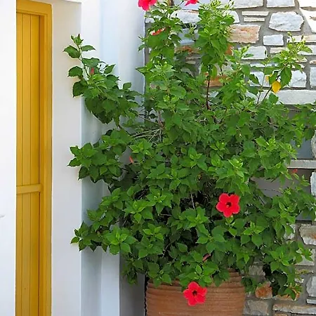 Ξενοδοχείο με διαμερίσματα Ostria 3*
